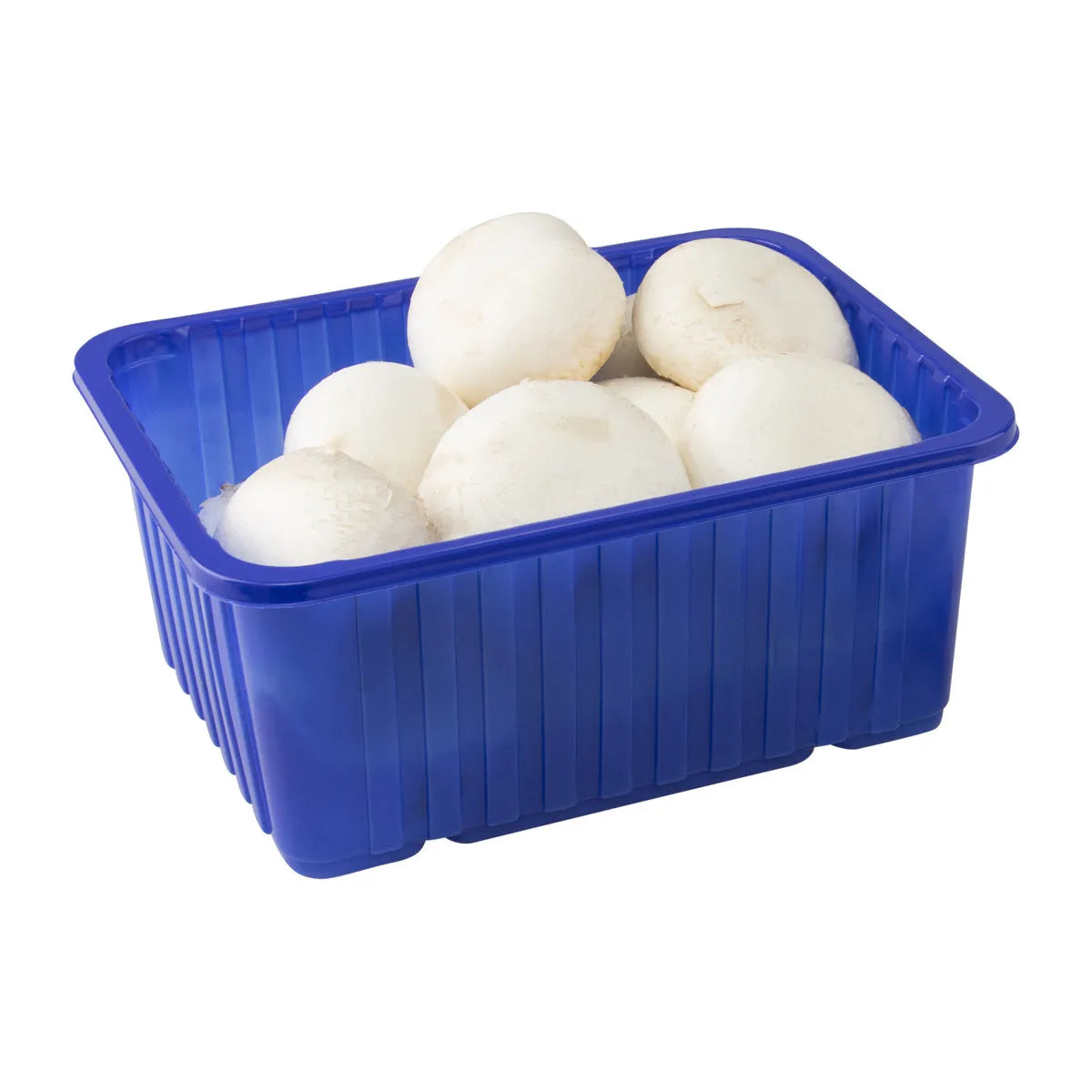 Champignon 500 gram
