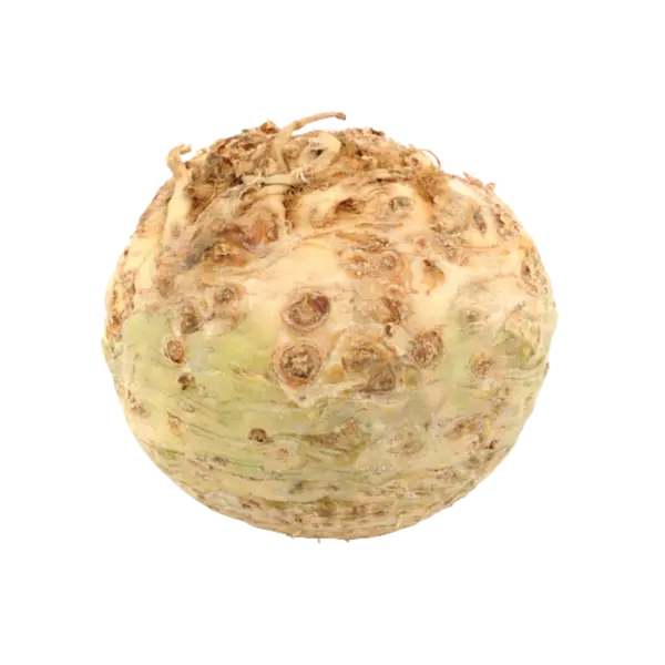 Knolselder