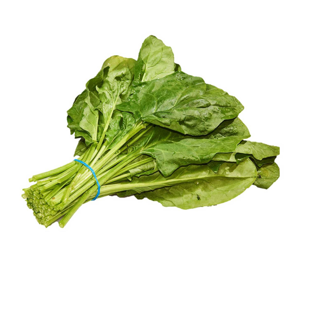 Spinazie bundel
