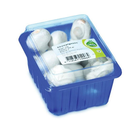 Champignons 250GR