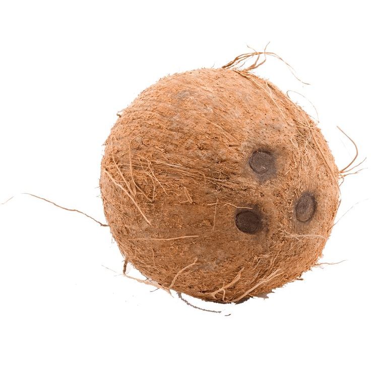 Cocosnoot /stuk