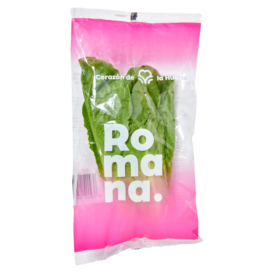 Romeinse sla groen