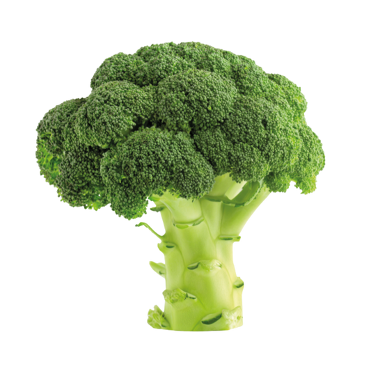 Broccoli