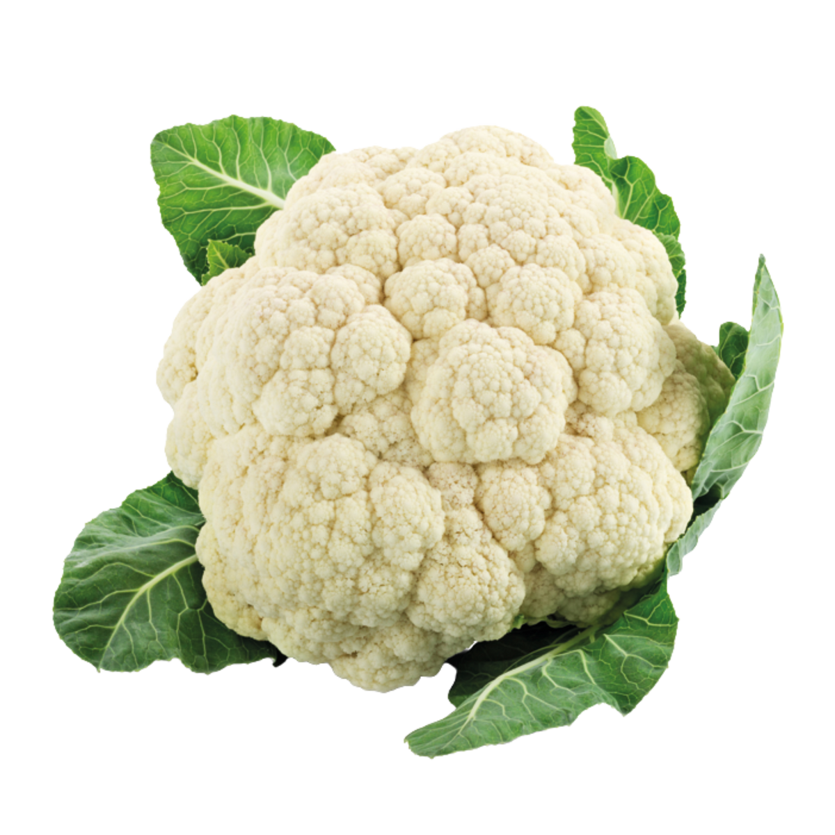 Bloemkool