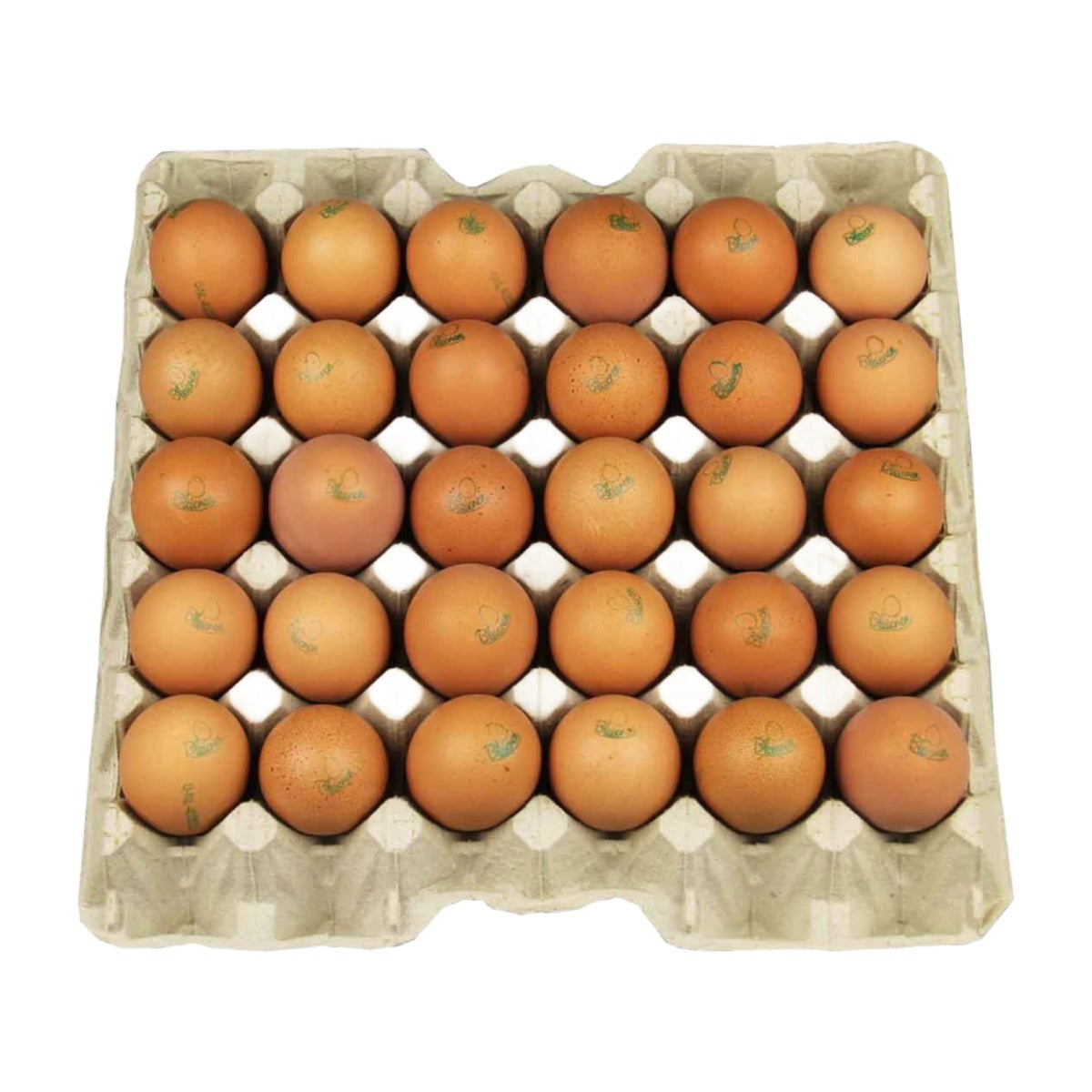 Dennenhof  eieren(xl) / yumurta 30st