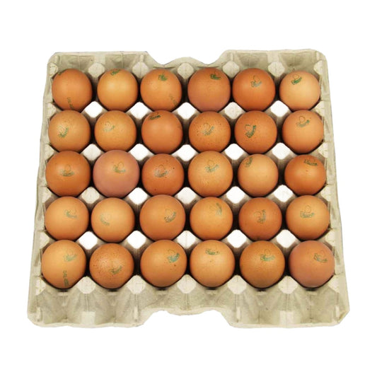 Dennenhof  eieren(xl) / yumurta 30st