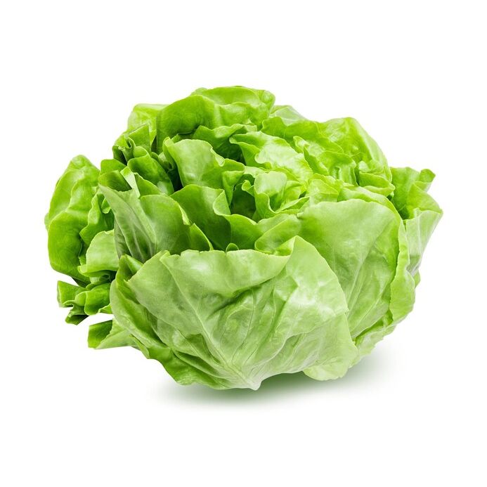 Kropsla