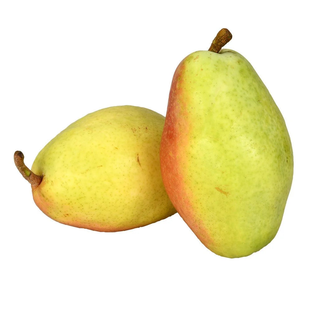 Peer turks /kg