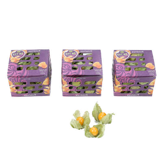 Physalis / gouden aardbei 100 gram