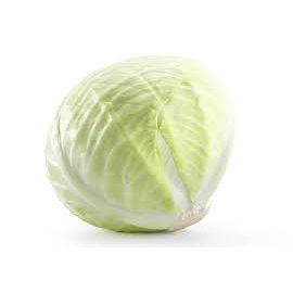 Witte kool